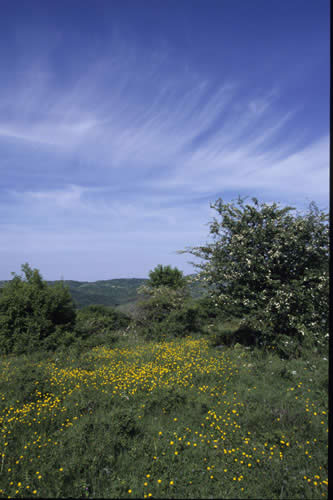 Nei pressi del Parco Faunistico